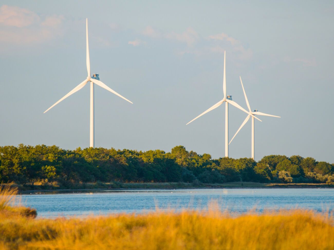 ДТЕК готує проєкт Полтавської вітроелектростанції потужністю 650 МВт