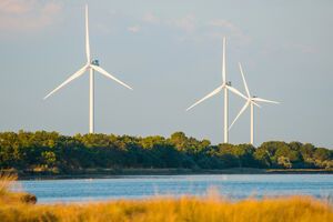 ДТЕК готує проєкт Полтавської вітроелектростанції потужністю 650 МВт