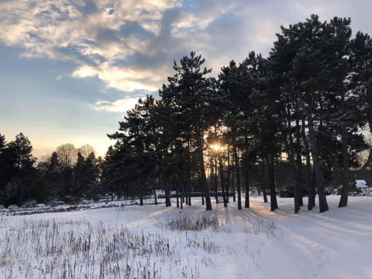 На востоке Украины возможен снег