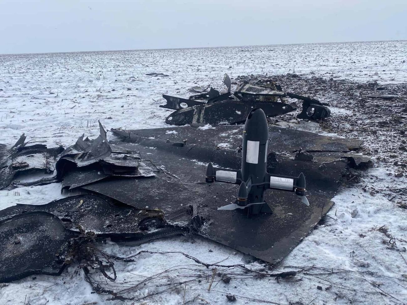 P1-Sun за четыре месяца сбили более 1,5 тыс. Shahed