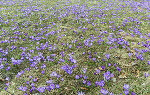 Синоптики прогнозируют весеннюю погоду на 8 марта