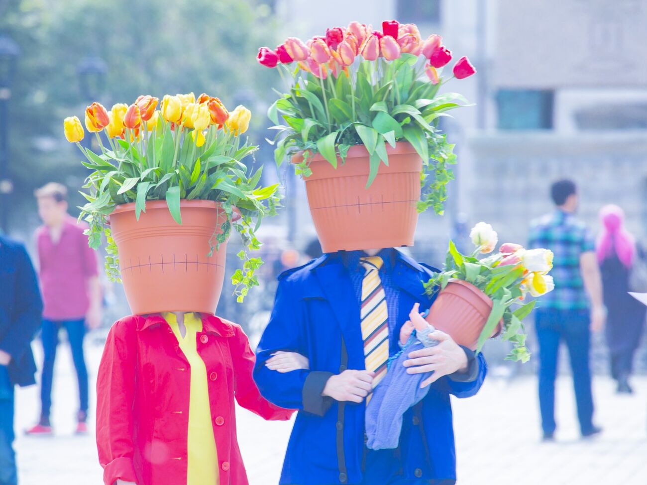 Компанія Rating Group оприлюднила результати опитування – виявилося, що святкувати 8 березня планує менше ніж половина опитаних