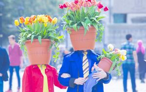 Компанія Rating Group оприлюднила результати опитування – виявилося, що святкувати 8 березня планує менше ніж половина опитаних