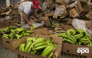 Наркотики виявили у піддоні з бананами на судні, яке прибуло з Еквадору