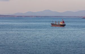 Эмираты готовятся к силовой разблокировке Ормузского пролива