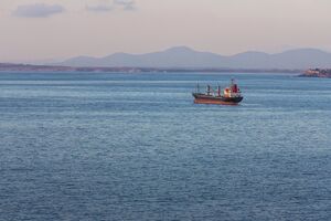 Эмираты готовятся к силовой разблокировке Ормузского пролива