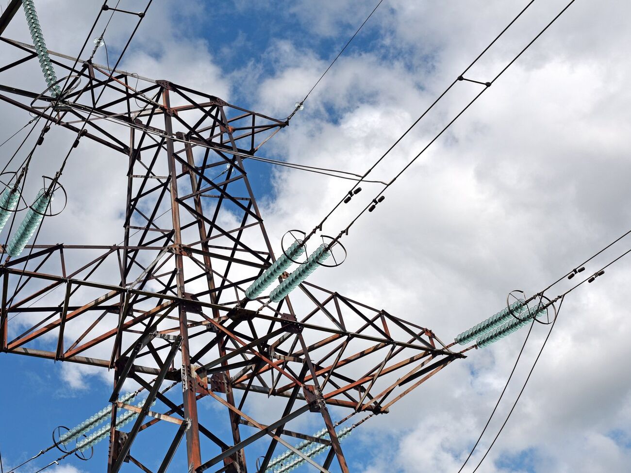 За словами представника ринку, уже зараз скорочується кількість компаній, які готові брати участь у тендерах