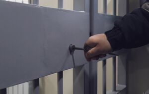 Около 12 тыс. ранее заключенных лиц направили в воинские части