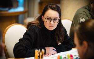 Проект будет представлен в ВР через несколько недель, обещает премьер