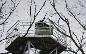 CARMINE SKY достигла показателя в 85% сбитых целей