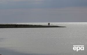 Частини крила дрона прибило до берега