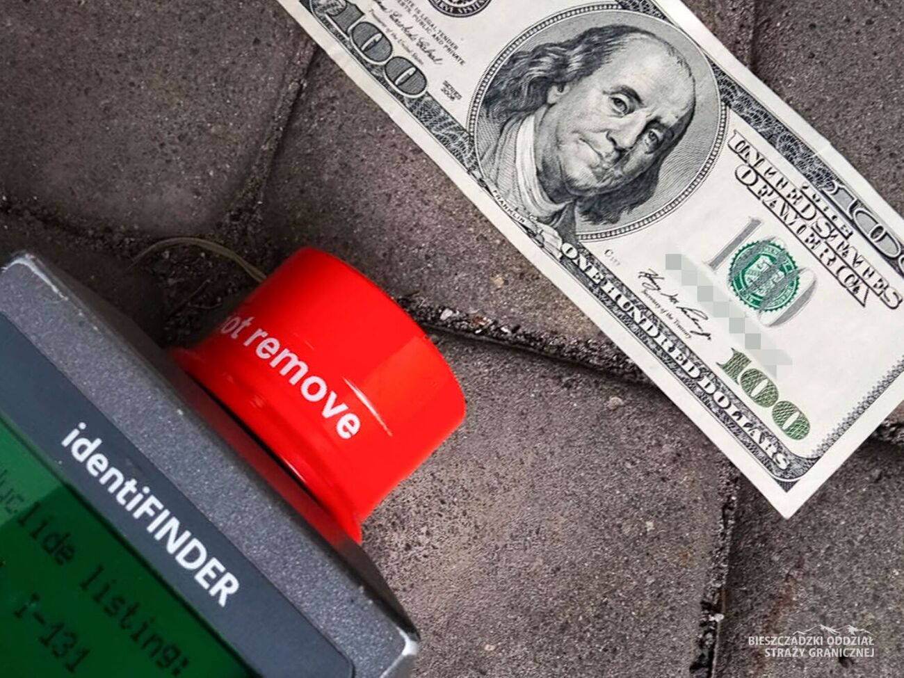 Загалом жінка ввозила в Польщу $9,9 тис.