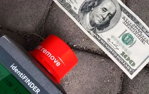 Загалом жінка ввозила в Польщу $9,9 тис.