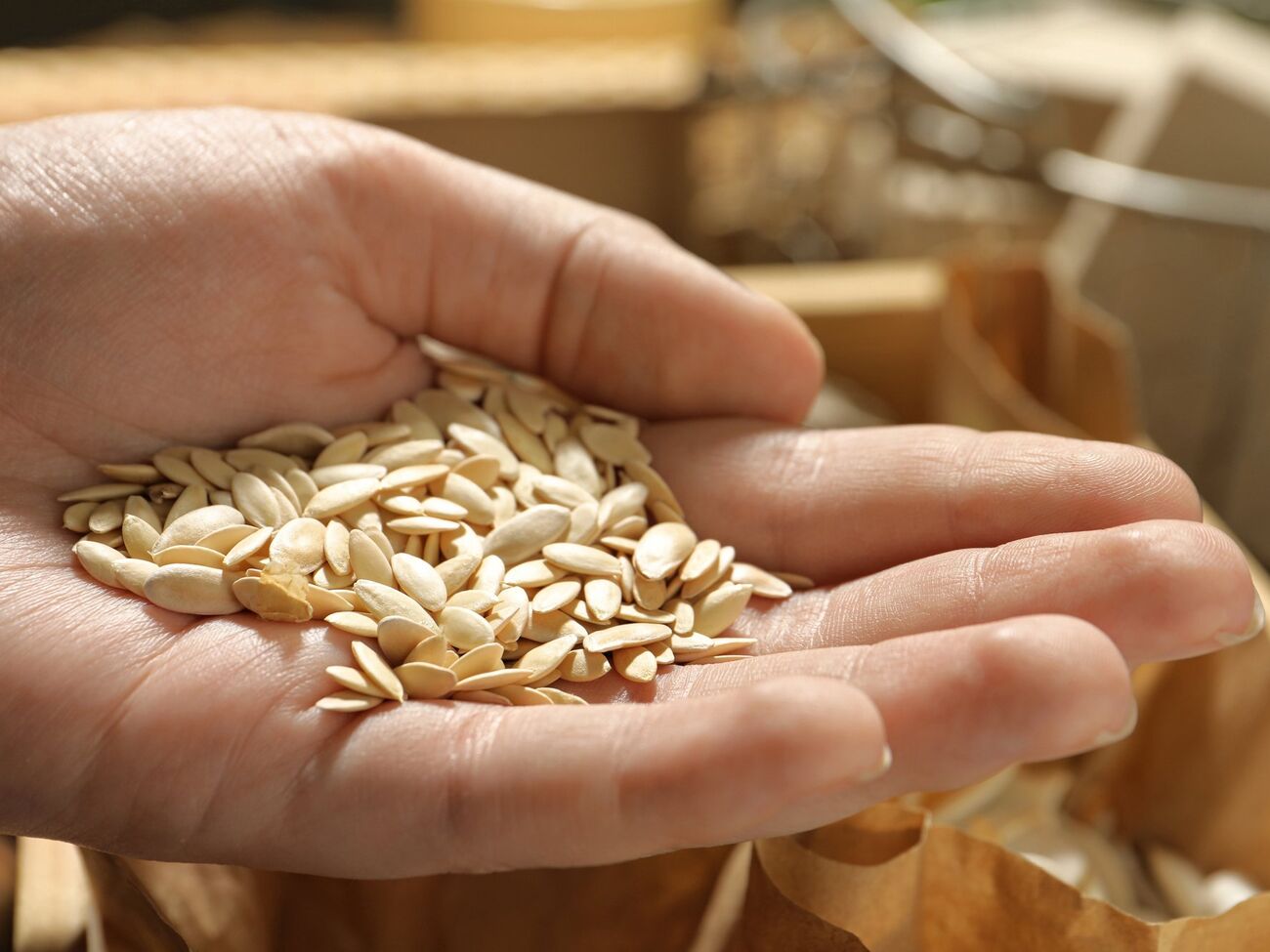 Насіння краще підготувати перед посівом