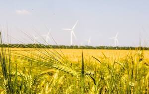 ДТЕК працює над ВЕС на 100 генераторів у Полтавській області