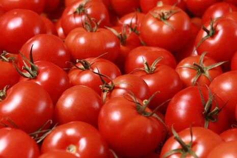 Положите это в лунку при посадке – и урожай помидоров будет потрясающим