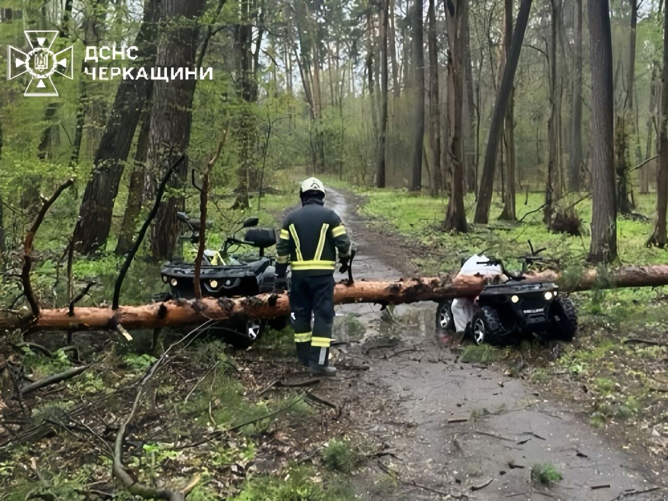 Через негоду в Україні загинуло двоє людей, понад 1 тис. населених пунктів без світла – ДСНС