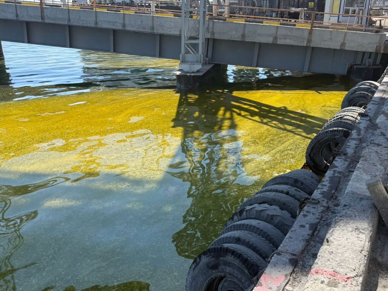 В Одеській області 6 тис. тонн олії витікають у море після атаки РФ