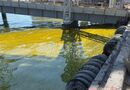 В Одесской области 6 тыс. тонн масла вытекают в море после атаки РФ