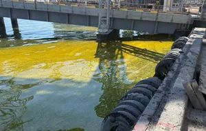 В Одеській області 6 тис. тонн олії витікають у море після атаки РФ