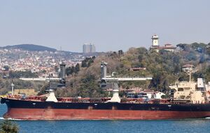Украина обвинила Израиль в приеме краденного зерна и пригрозила санкциями. Израиль требует доказательств. Главное о кризисе