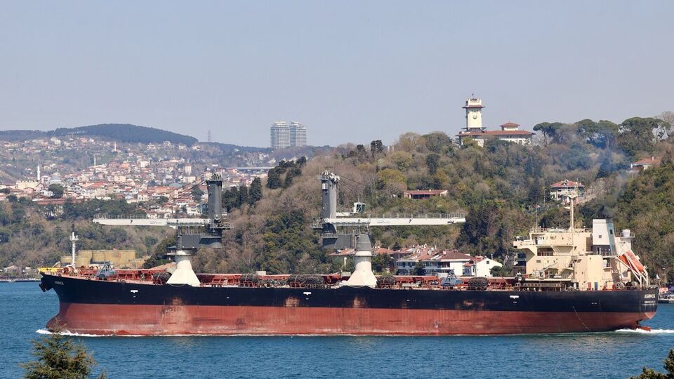 Україна звинуватила Ізраїль у прийманні краденого зерна і пригрозила санкціями. Ізраїль вимагає доказів. Головне про кризу