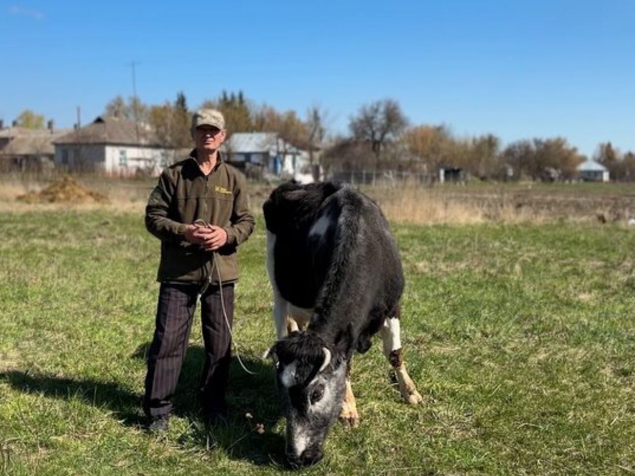 "Поставьте мешок золота, скажу – забирайте свое золото". В украинском селе живет 30-летняя корова Майка