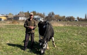 "Покладіть мішок золота, скажу: "Забирайте". В українському селі живе 30-річна корова Майка