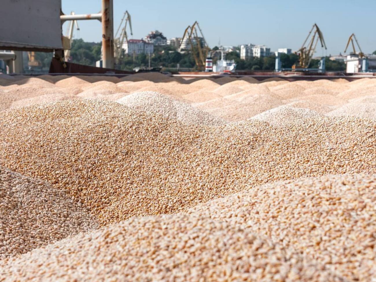 Україна офіційно вимагає від Ізраїлю арешту судна з украденим Росією зерном