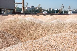 Украина официально требует от Израиля ареста судна с украденным Россией зерном