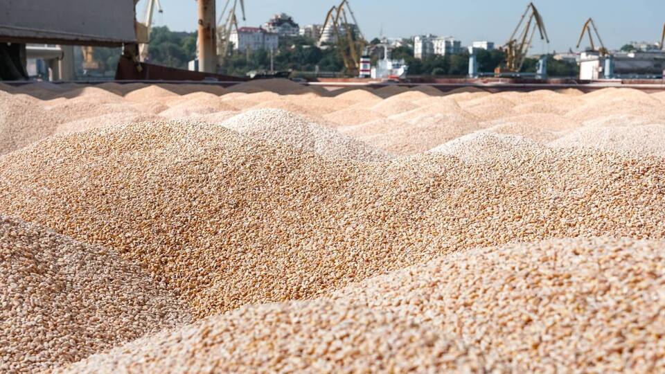 Украина официально требует от Израиля ареста судна с украденным Россией зерном