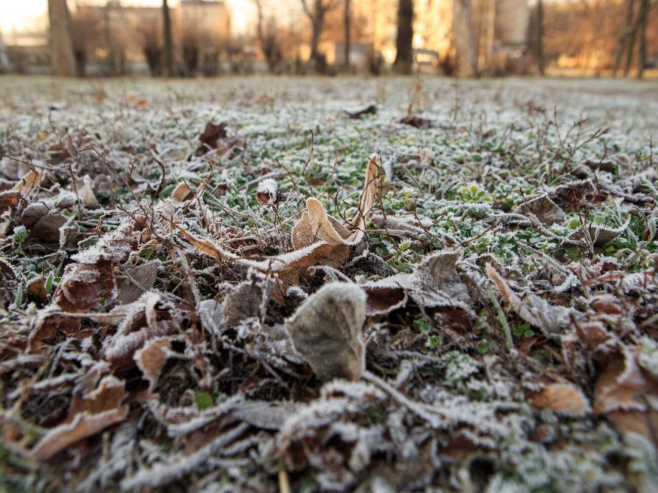 7–8 апреля в Украине ожидают ощутимое похолодание