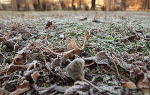 7–8 апреля в Украине ожидают ощутимое похолодание