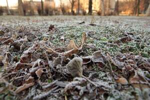 7–8 квітня в Україні прогнозують відчутне похолодання