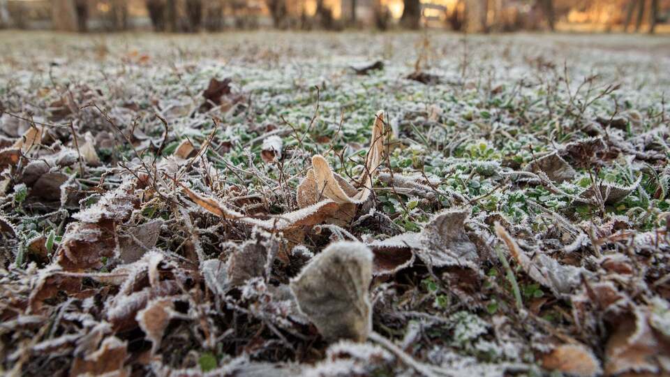 7–8 квітня в Україні прогнозують відчутне похолодання