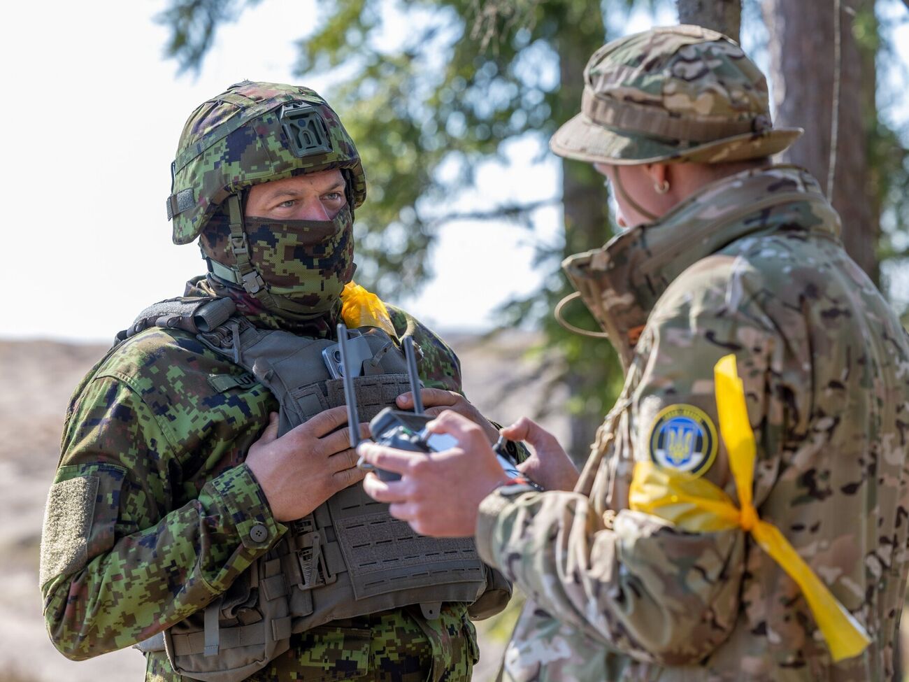 Украине есть чем поделиться с партнерами по НАТО, подчеркивают в ВМС. На фото – кадр с учений Hedgehog 2025