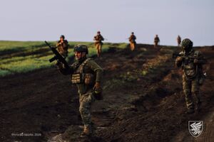 Україна може стати частиною спільної оборони НАТО в разі нападу РФ – ексчиновник міноборони Німеччини
