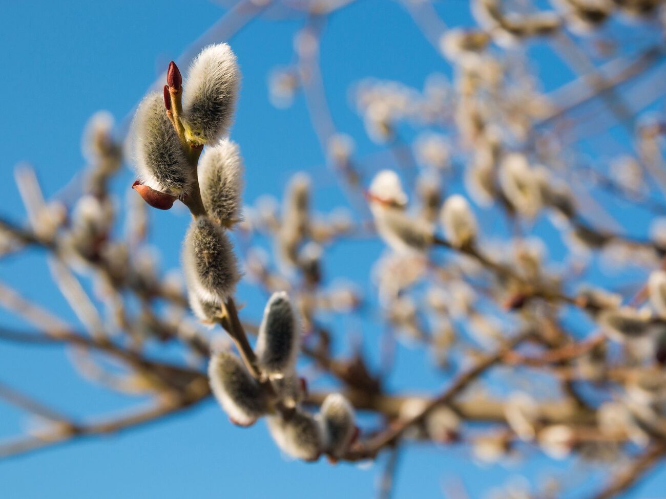 У суботу на сході й частково на півдні дощитиме, у неділю по всій країні встановиться суха й сонячна погода