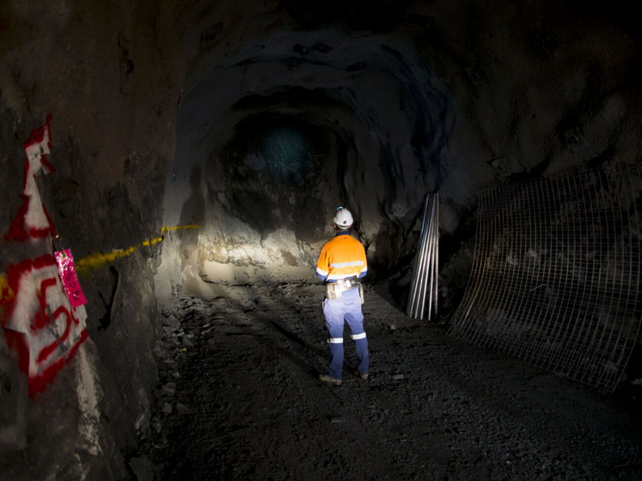 Значна частина працевлаштованих переселенців пройшла професійну підготовку