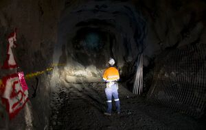 Значна частина працевлаштованих переселенців пройшла професійну підготовку