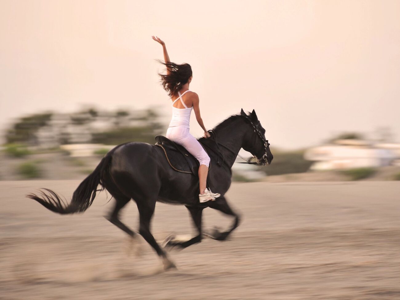 По словам наездницы, она сэкономит более €120 в месяц