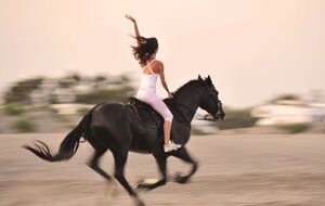 По словам наездницы, она сэкономит более €120 в месяц