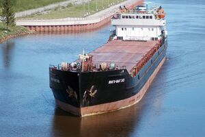 По данным ГУР МОУ, "Волго-Балт" возят похищенное украинское зерно