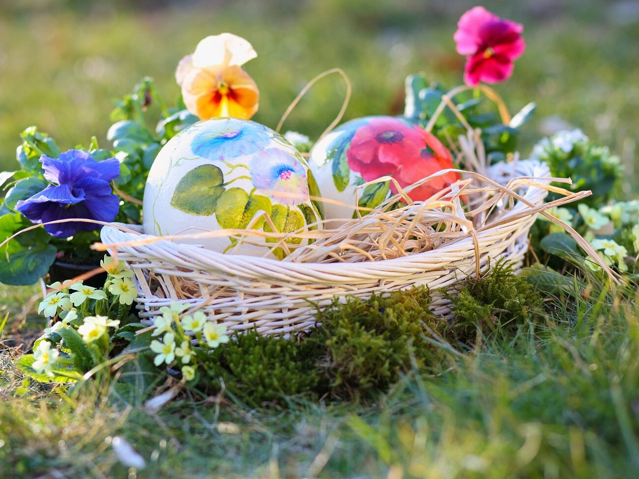 В результате падения дерева на искателей пасхальных яиц три человека погибли, еще один – получил тяжелые травмы