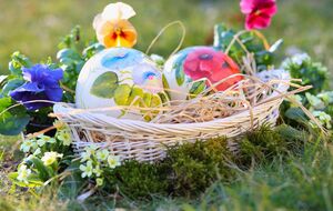 В результате падения дерева на искателей пасхальных яиц три человека погибли, еще один – получил тяжелые травмы