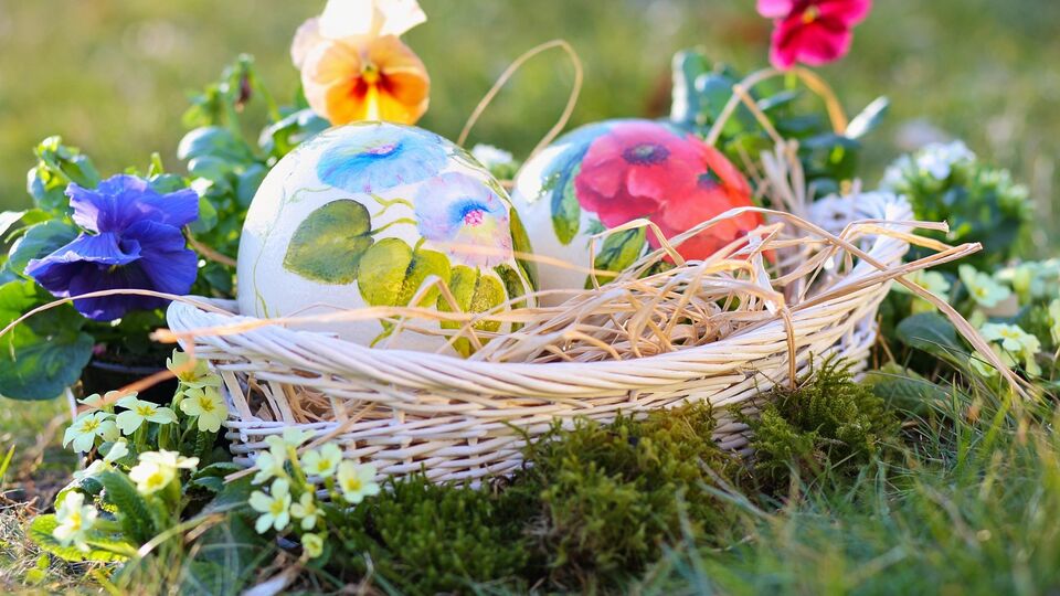 Унаслідок падіння дерева на шукачів великодніх яєць троє людей загинули, ще одна – дістала важкі травми