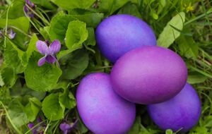 Бузкові крашанки можна отримати за допомогою природного барвника