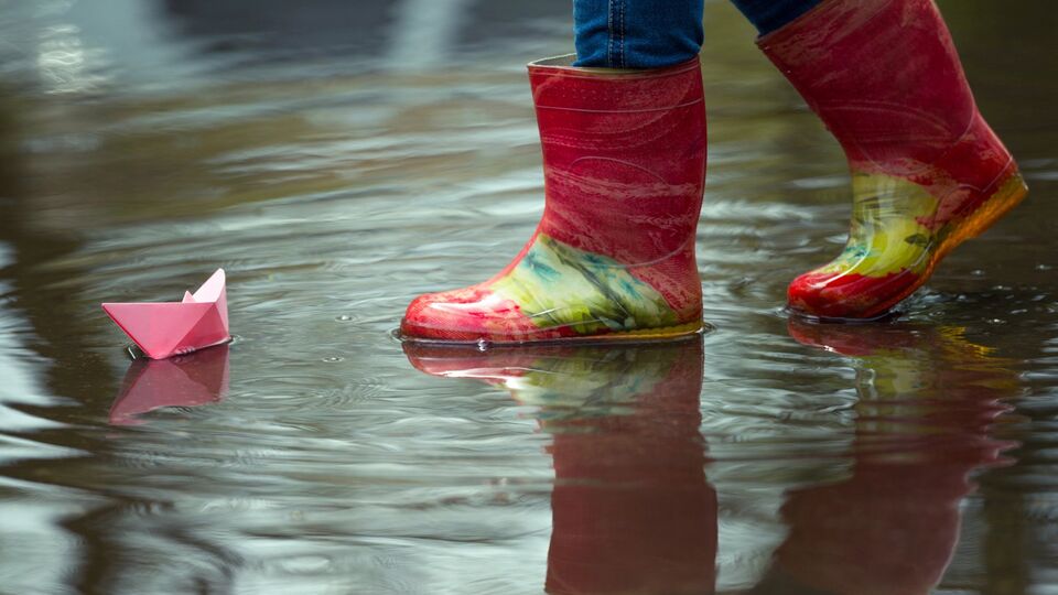 Неделя будет дождливой