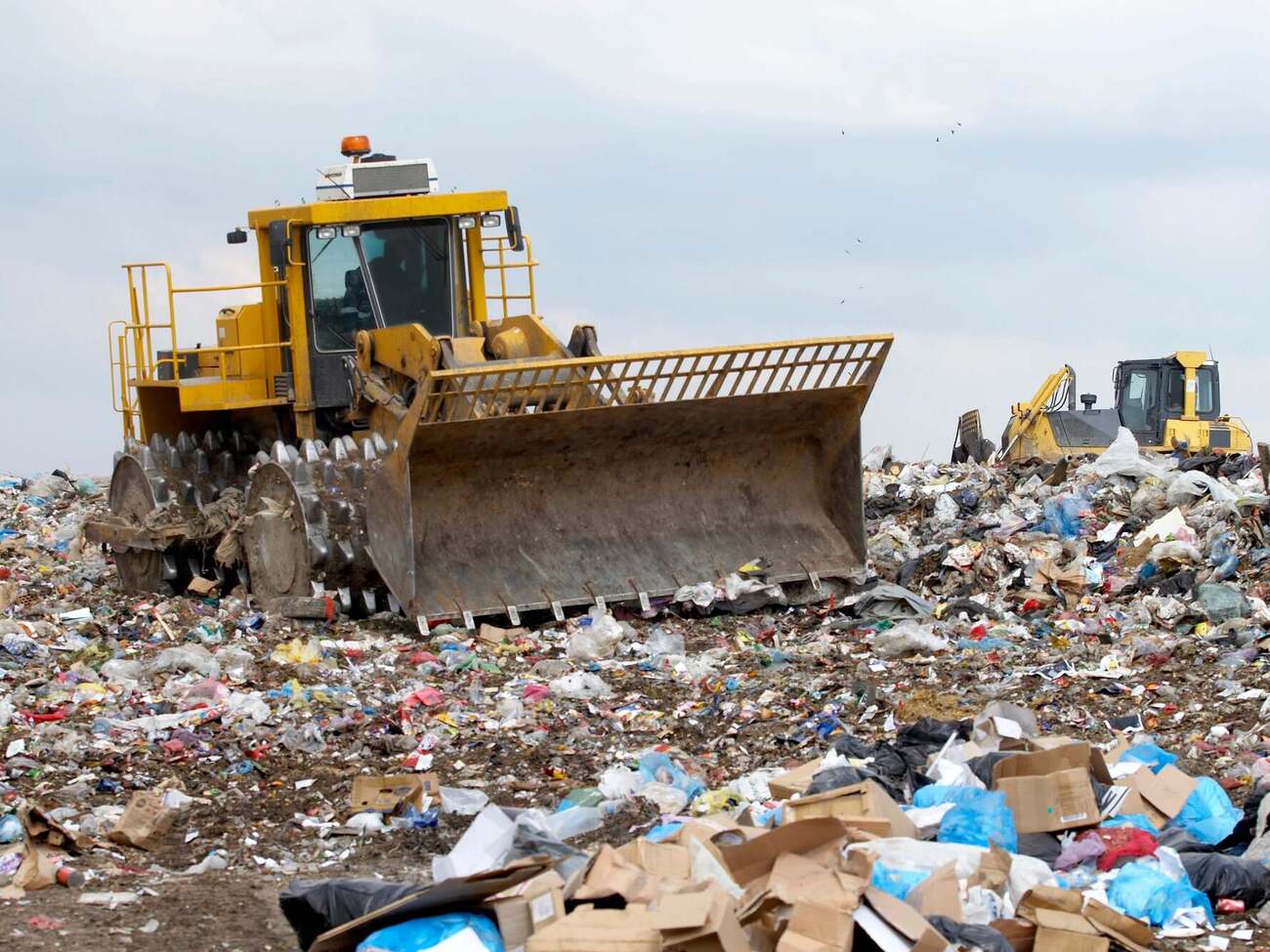 Блогер поскаржився, що не зміг довезти додому свою знахідку
