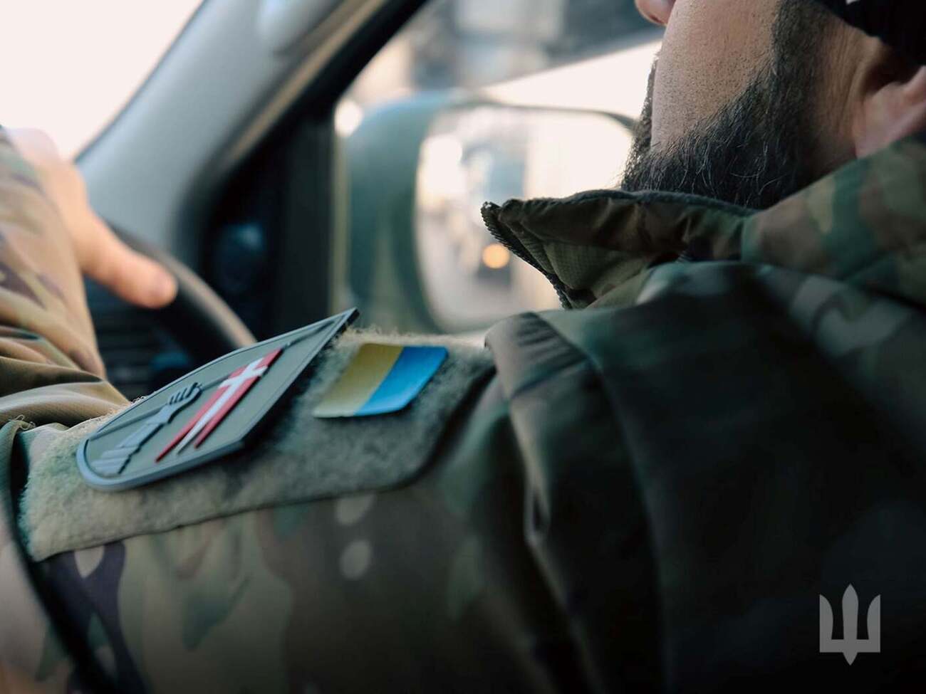 Сейчас животные в безопасности и находятся с бойцами